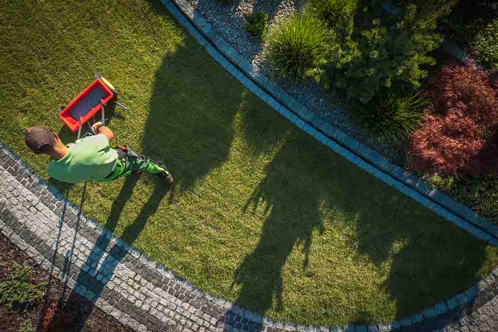 Tips to maintain a lawn in Dubai