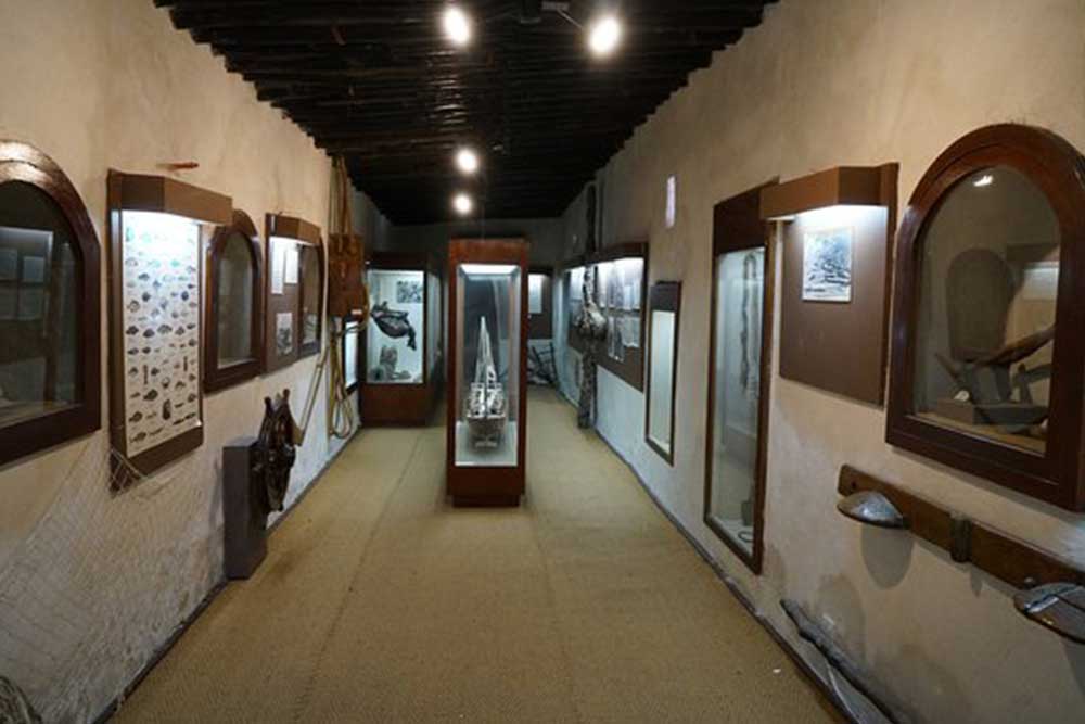 artefacts on display at a museum