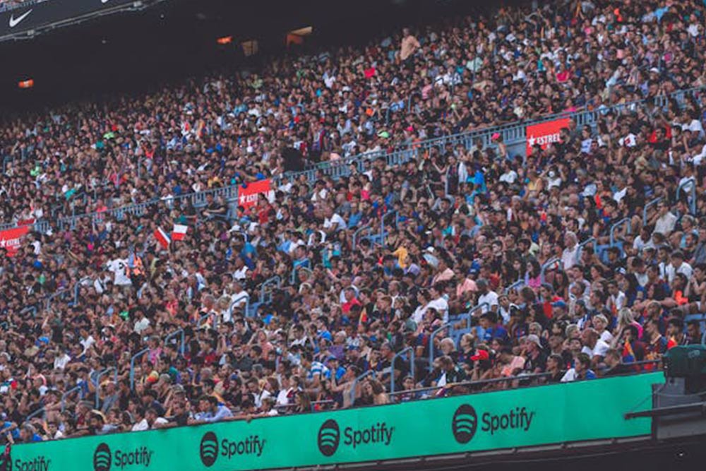 Cheering Crowd in Stadium 