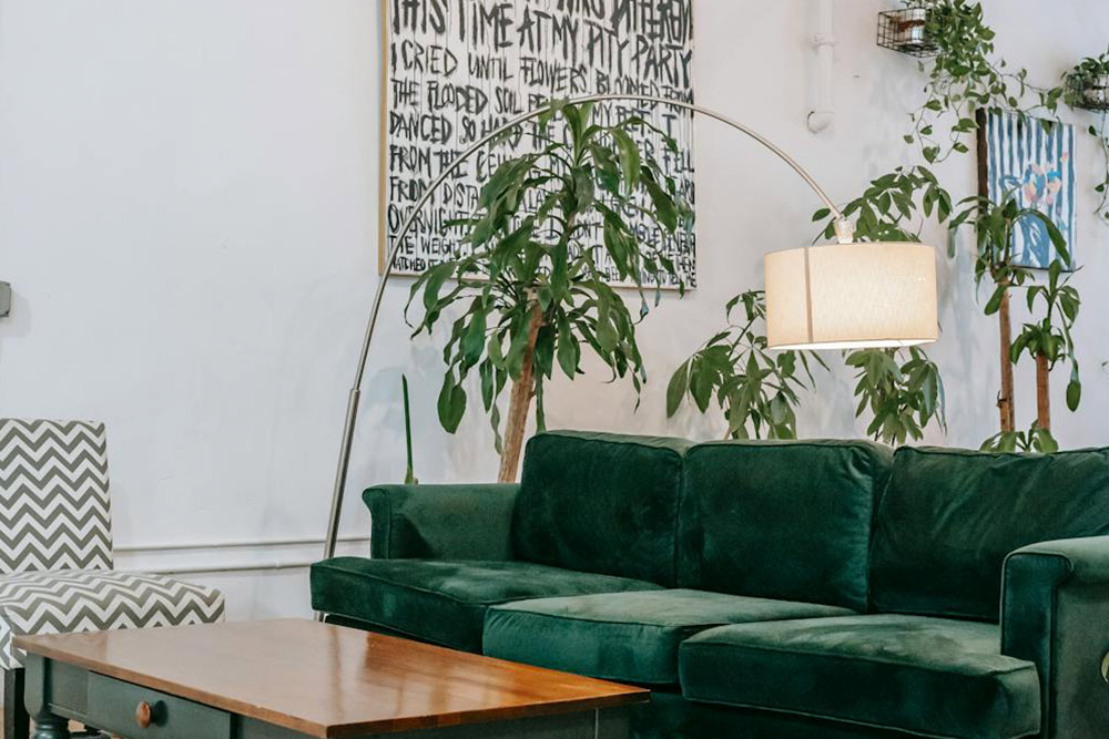 Living room interior with furniture and plants at home 