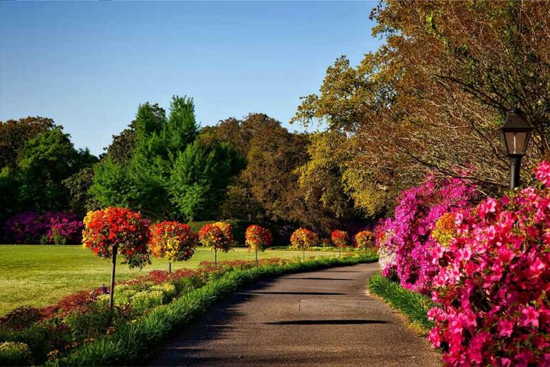 Greenery in Fujairah parks perfect for morning walk