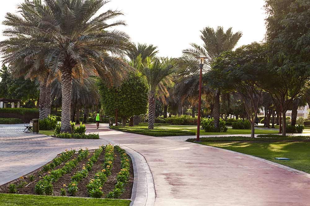 pathways at the hanging garden in Sharjah