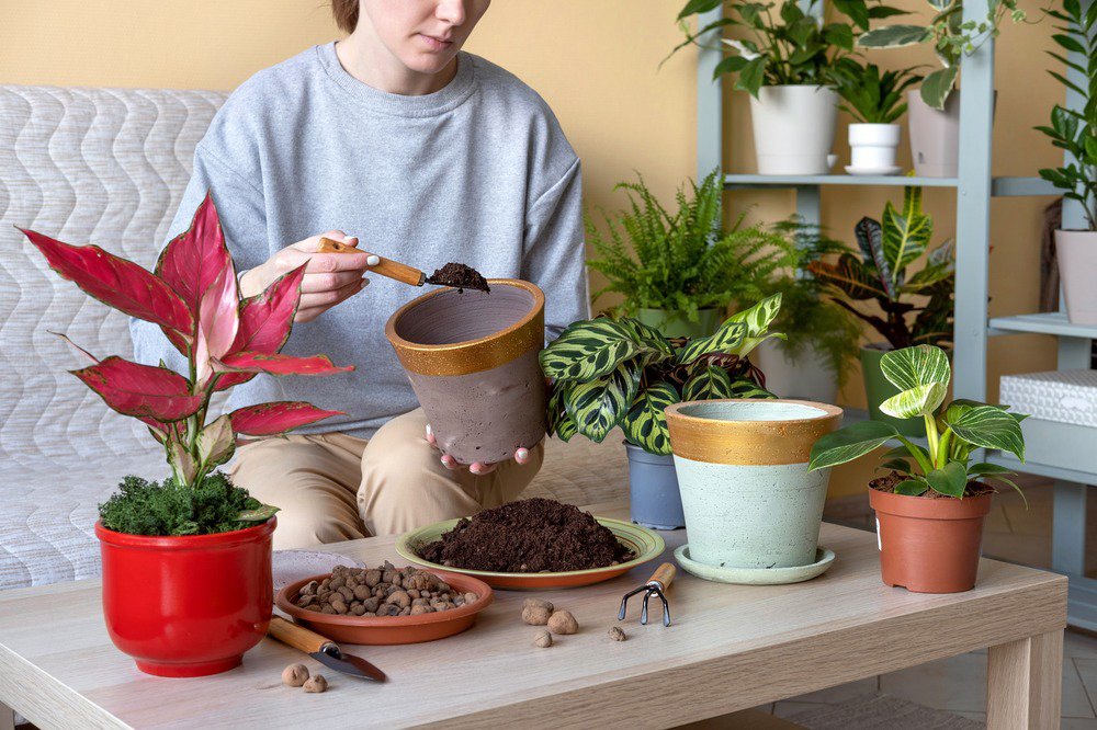 Painting plant pots