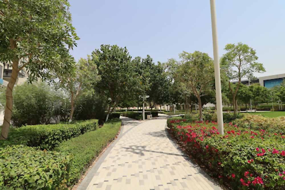 Lush green landscape in Dubai South