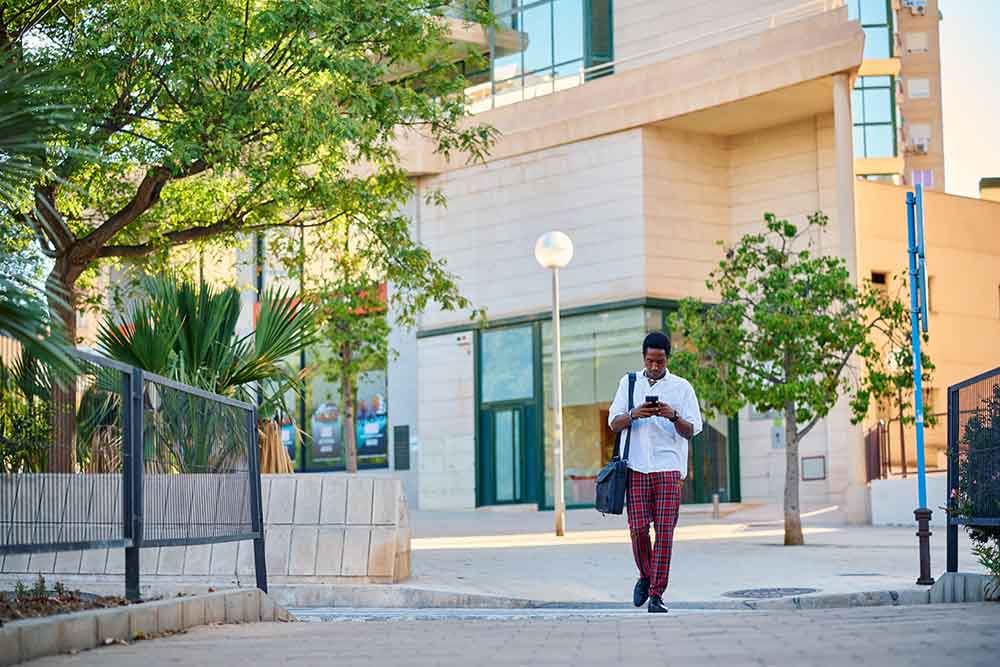  top universities in the UAE