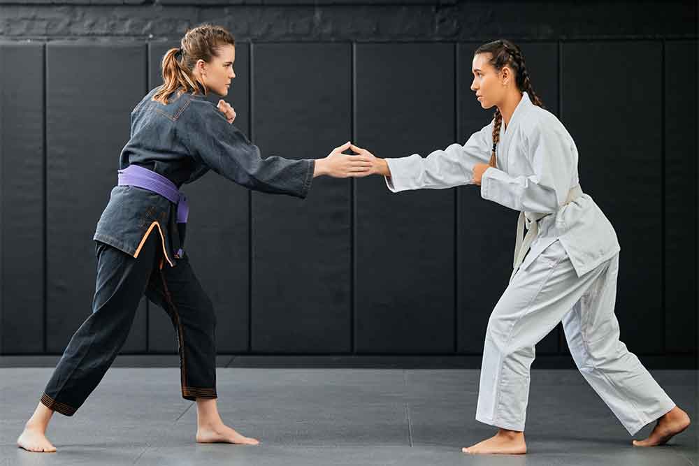 a self-defence and karate learning academy in dubai