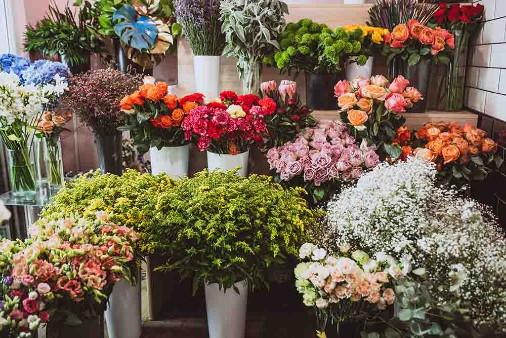 Variety of flowers on display in Dubai