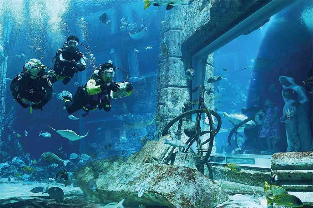 become an experienced dive discoverer at lost chambers