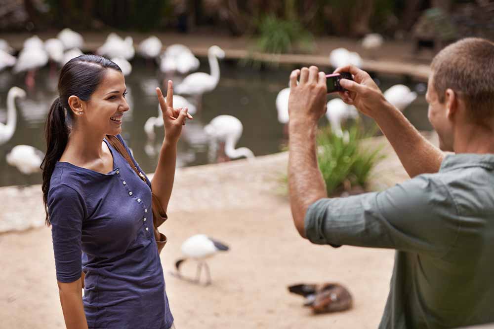 Tourist photography in a zoo