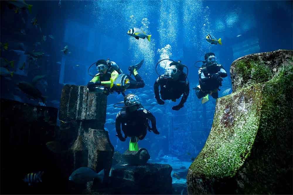 explorer the atlantis’ depths with dive explorer experiences