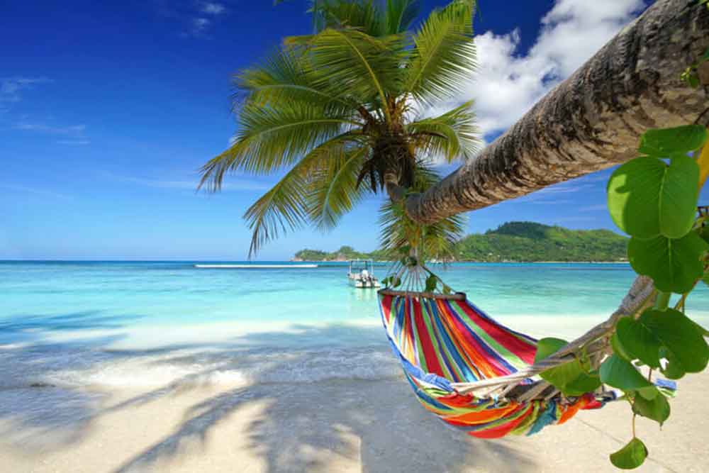 A hammock hanging on a tree along beautiful shores