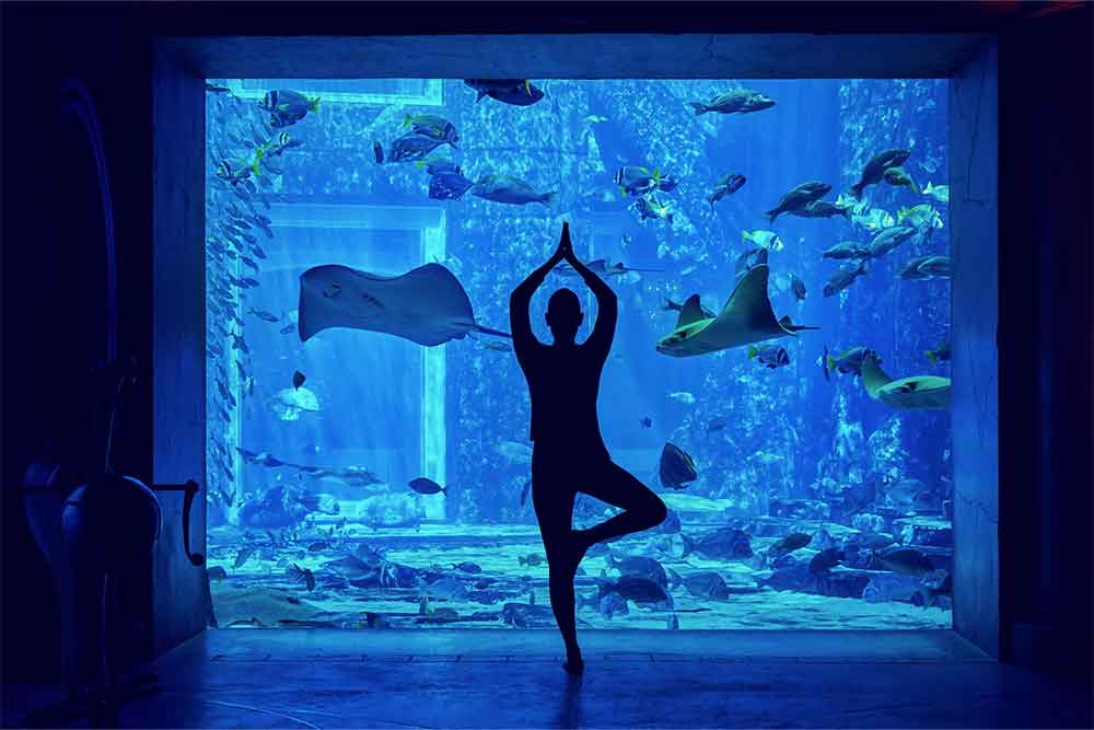 watch the stingrays go by as your meditate with the aquarium’s underwater yoga experience 