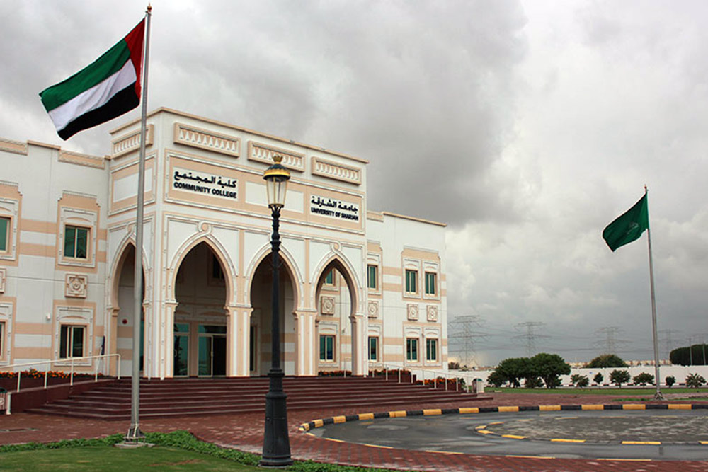 Group of students studying in UAE university