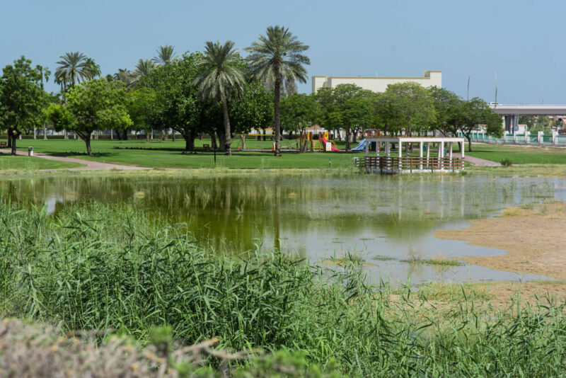 thing to do in parks in dubai