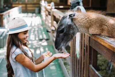 Dubai Zoo