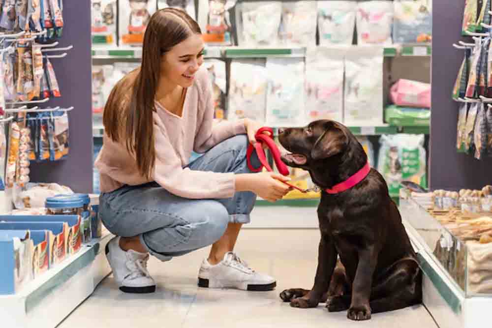 Pet Stores in Abu Dhabi