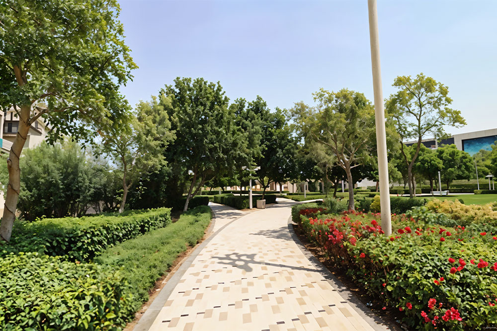 Lush green landscape in Dubai South