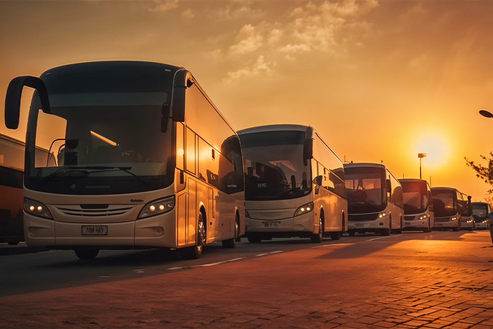 Buses parked in a row