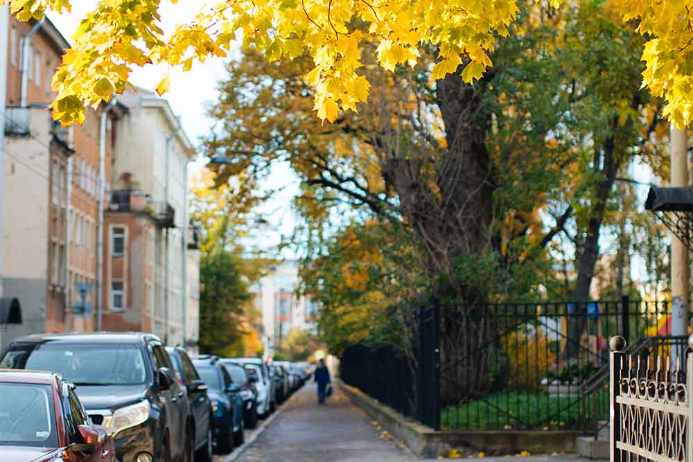 Roads where you can walk and clean environment 