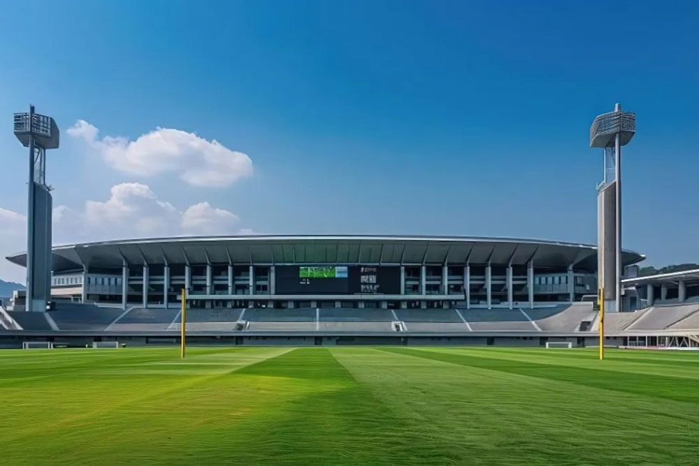 Grass Field in a Cricket Stadium 