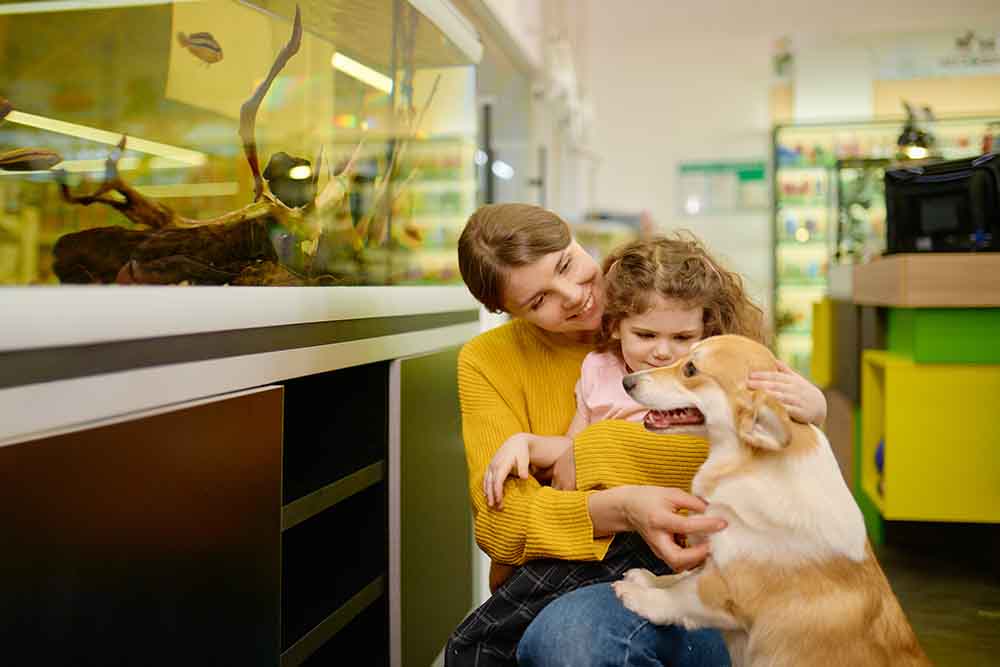 family looking at pet supplies in a pet shop in Sharjah