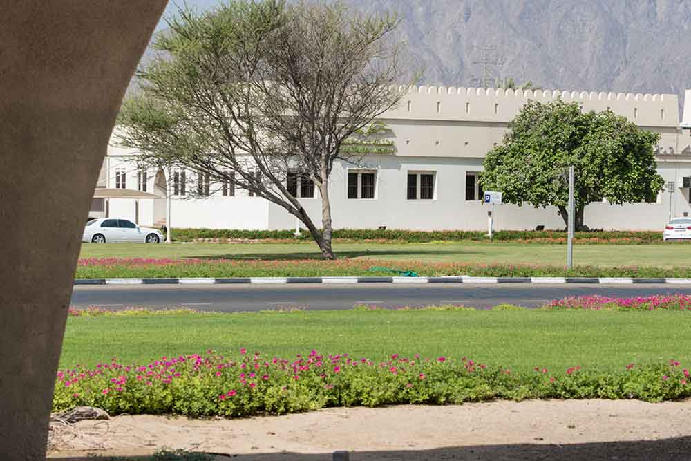 hatta public library 