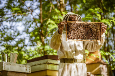 Hatta Honey Bee Discovery Centre