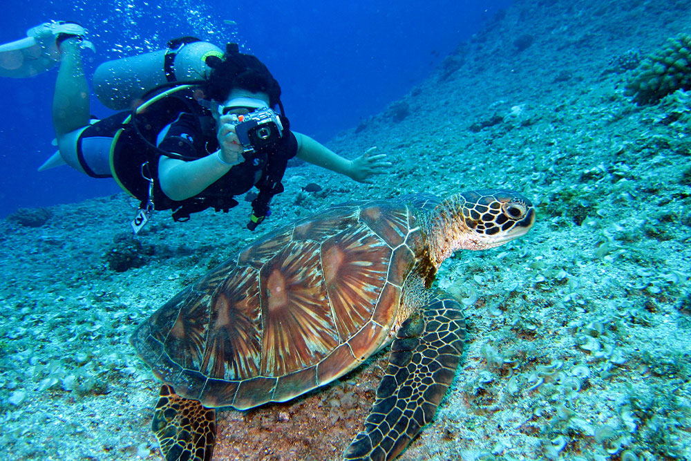 photography during scuba diving as an outdoor activity in Fujairah