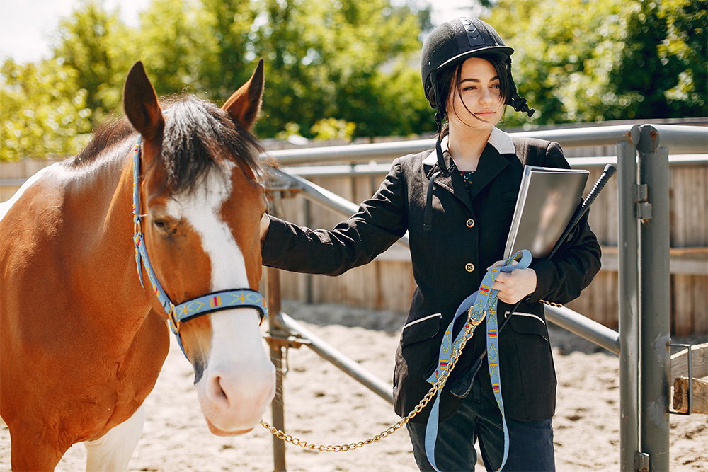  learning to ride a horse