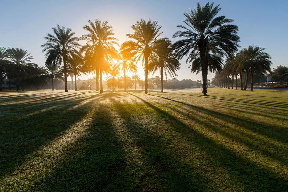  حديقة صقر العامة