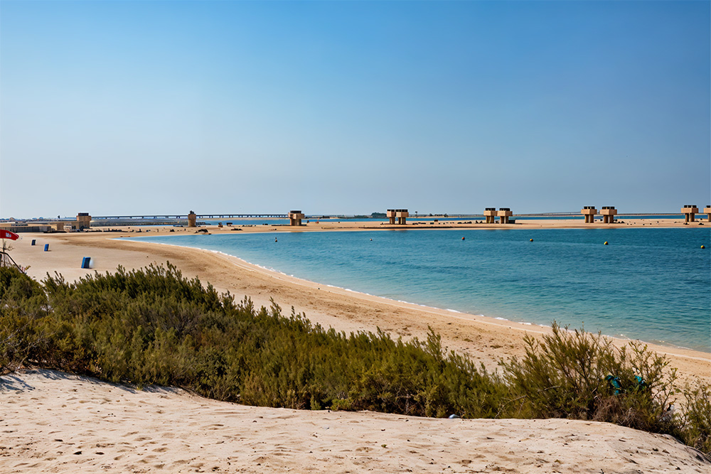 Jebel Ali Beach