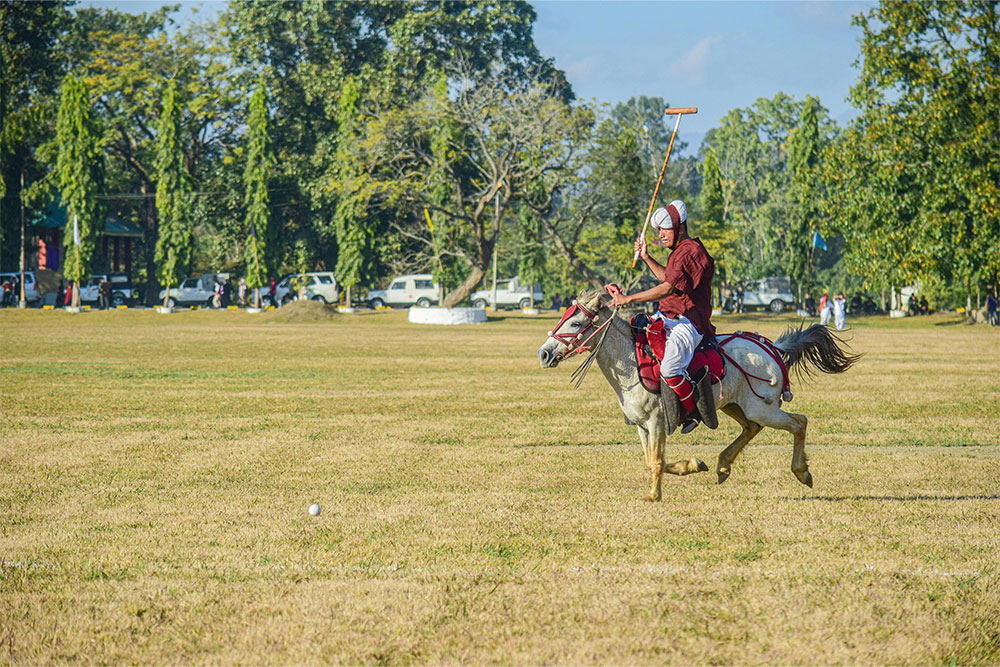 learning to ride horses
