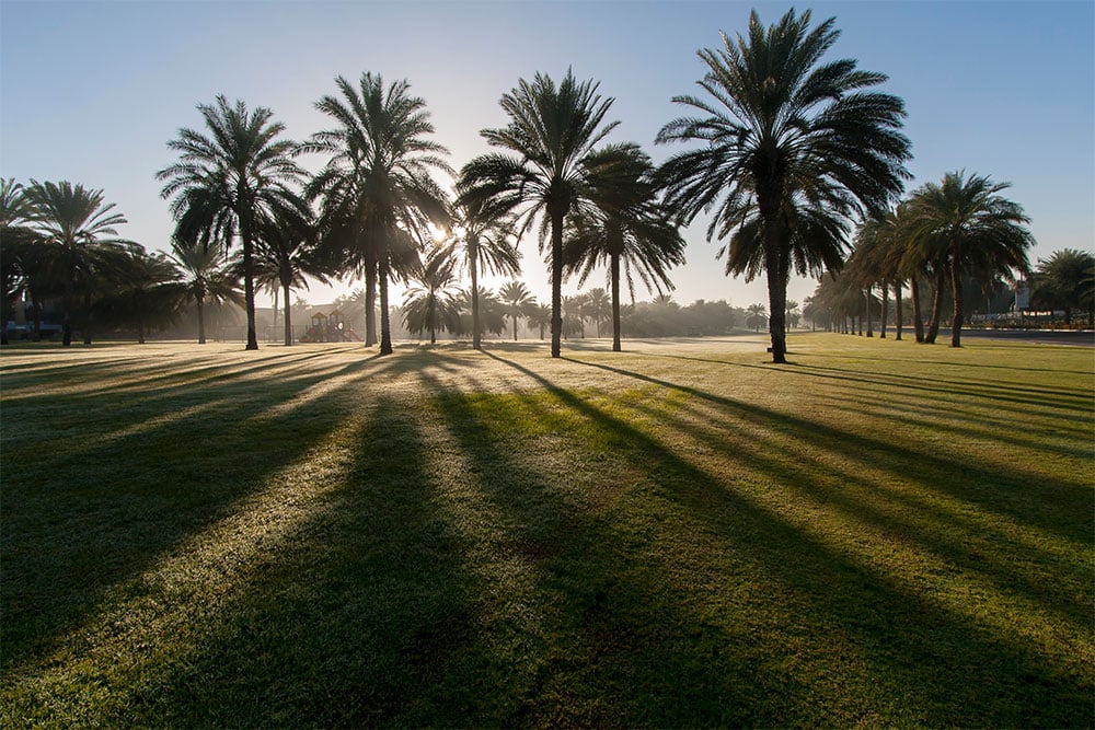 Park in dibba