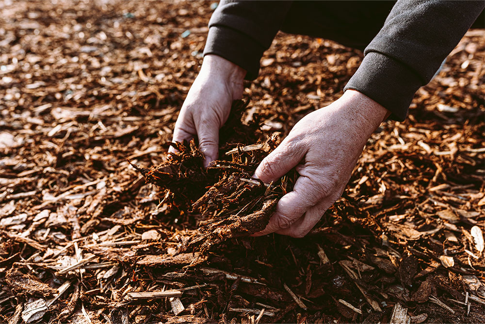 The Benefits of Mulching for Winter