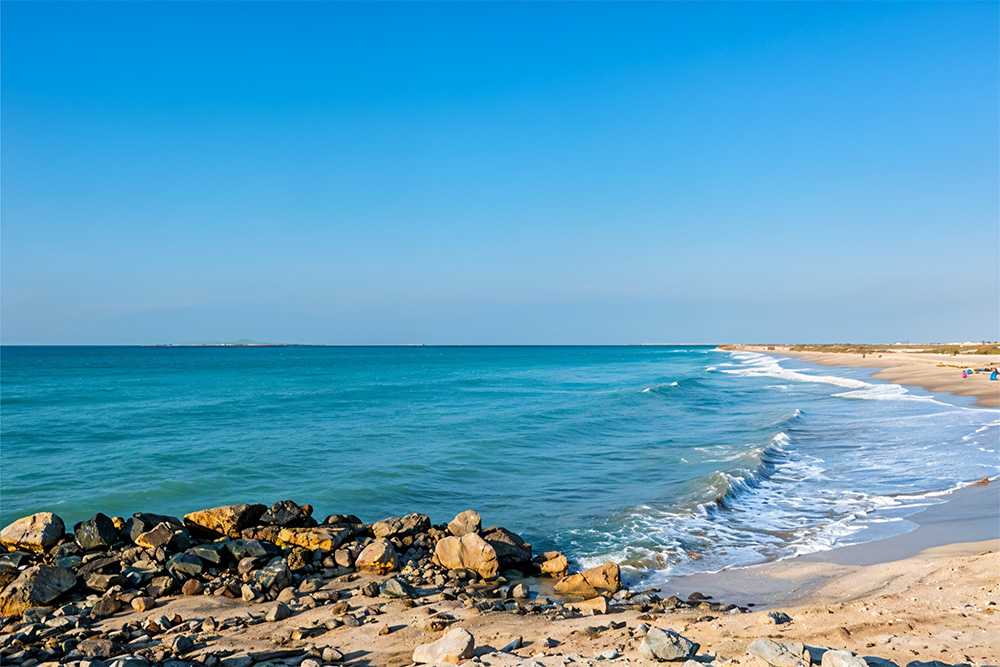 beautiful sea landscape on a wild beach
