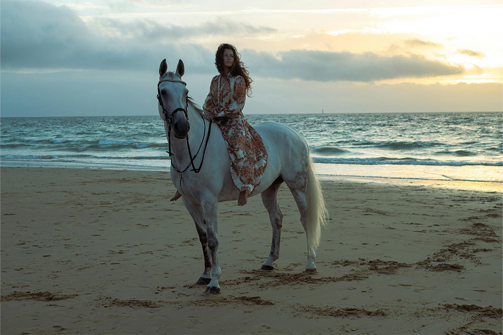 riding Horse on Beach