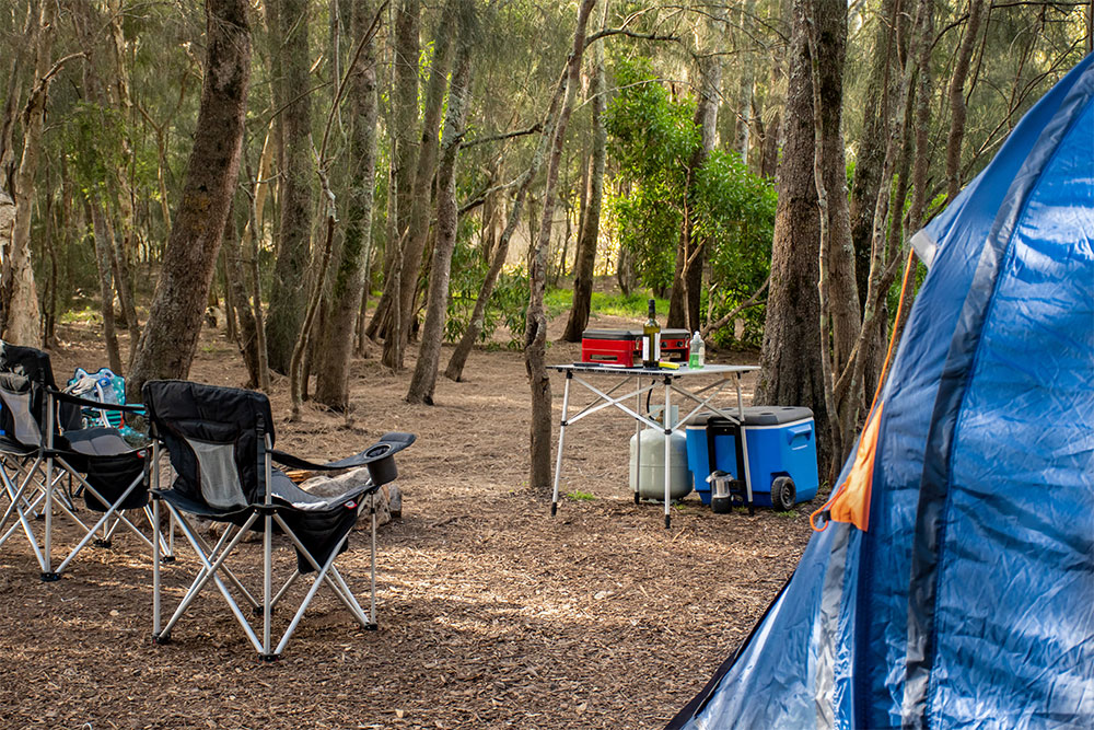 View from tent on camping scene