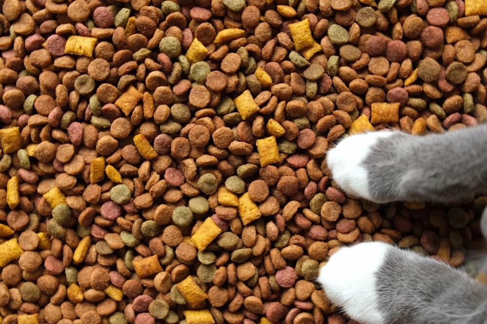 Buy healthy pet food from Pet Sky in Dubai 