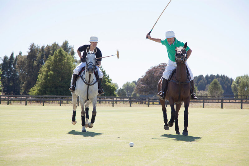 Desert Palm Polo Club