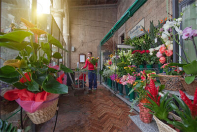 Florist setting flowers in a Flower Shop in Abu Dhabi: