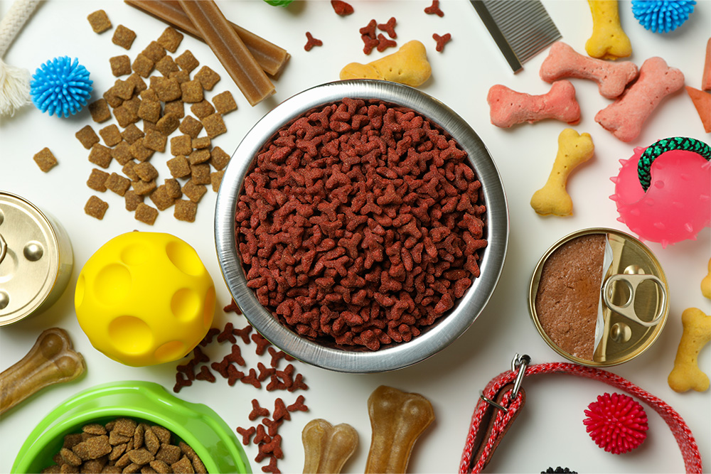 Pet food in a pet bowl