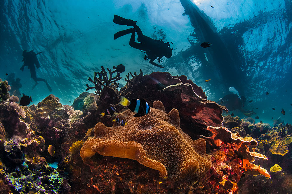 portrait of an underwater photographer above the water