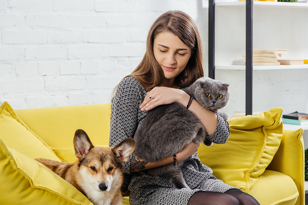 Relocating with pets in Abu Dhabi