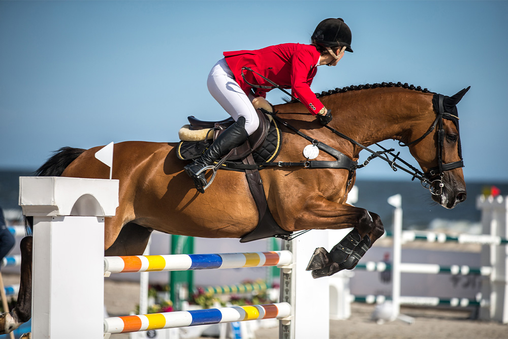 Ajman equestrian club