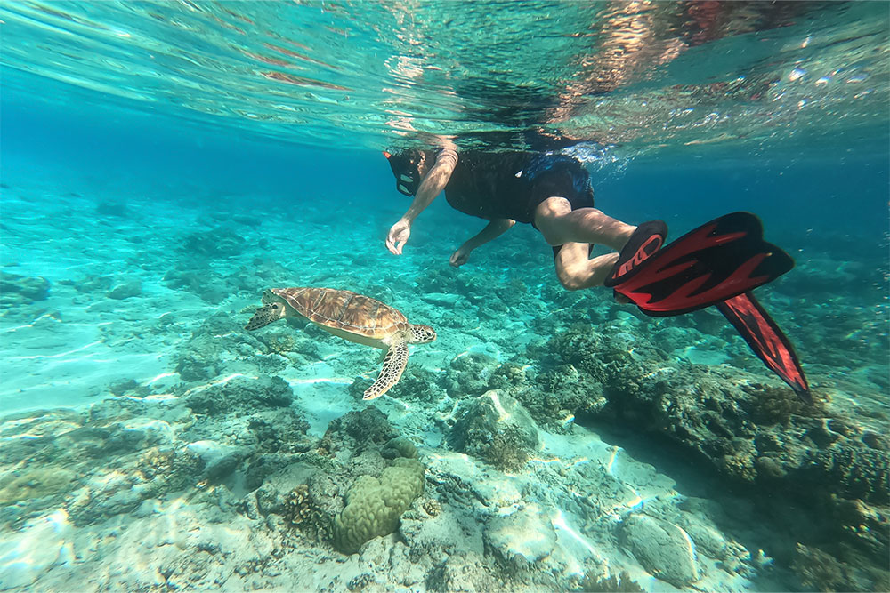 Learning scuba diving from the best instructors