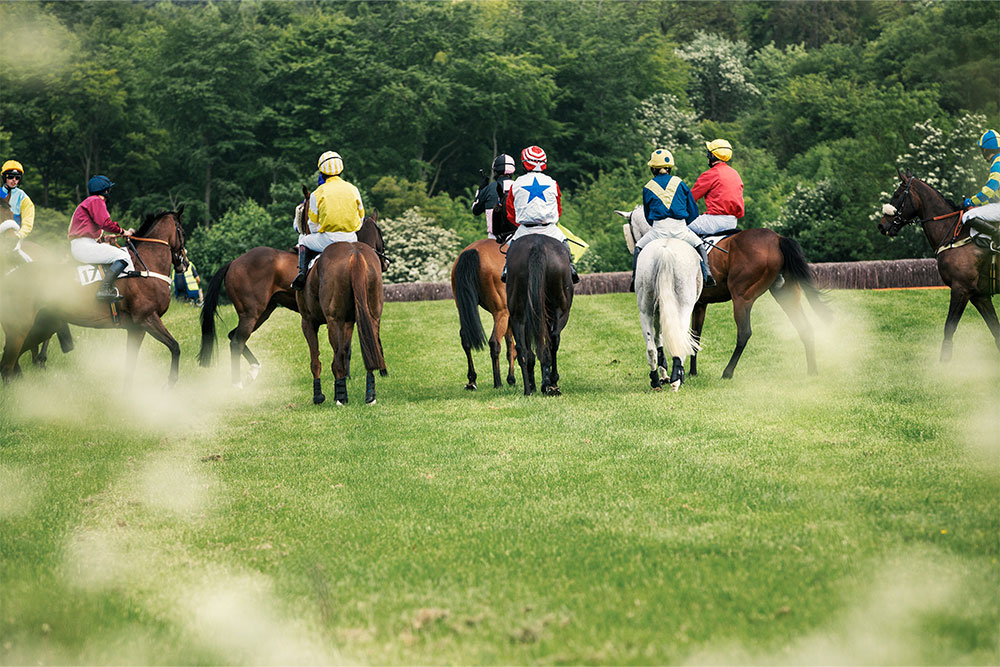 Racecourse in Desert Palm Polo Club