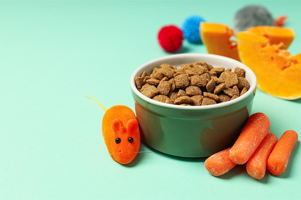 Buy pet food online at Dubai’s top stores