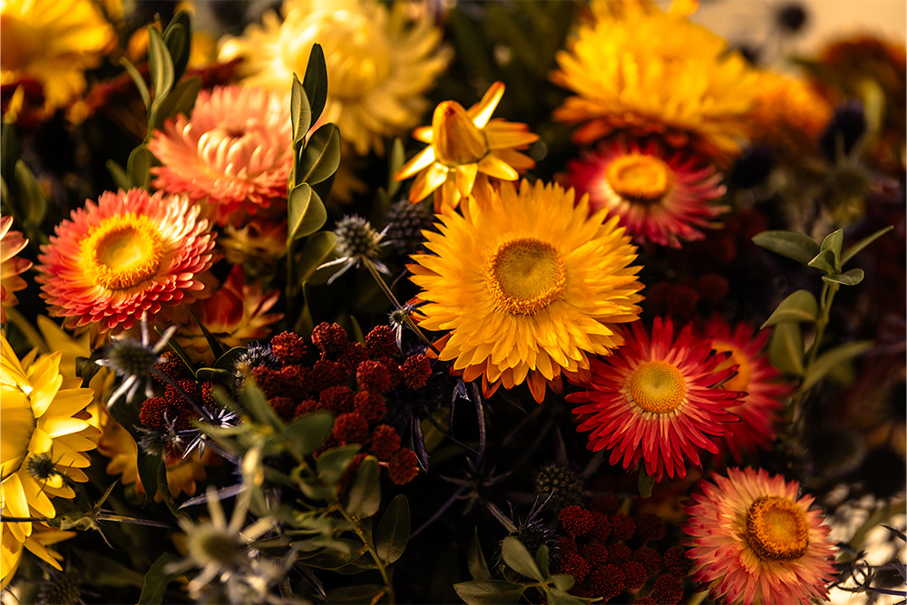 Flower shop in dubai 