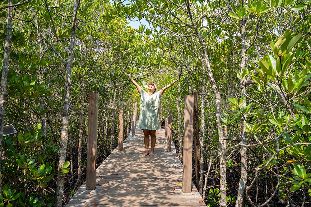 enjoying in Mangrove National Park