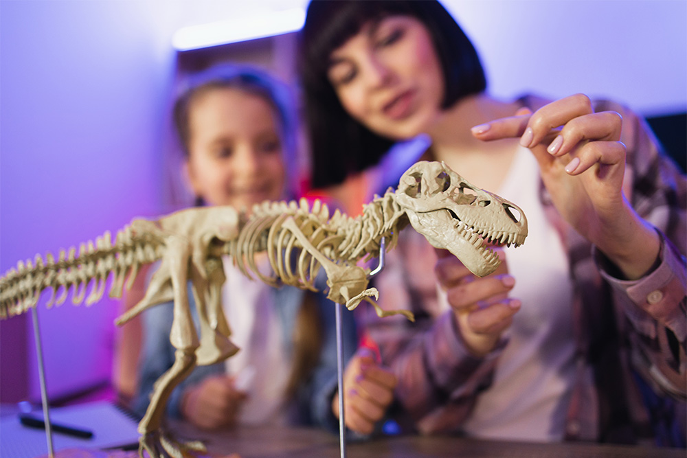 Tyrannosaurus rex skeleton at Natural History Museum